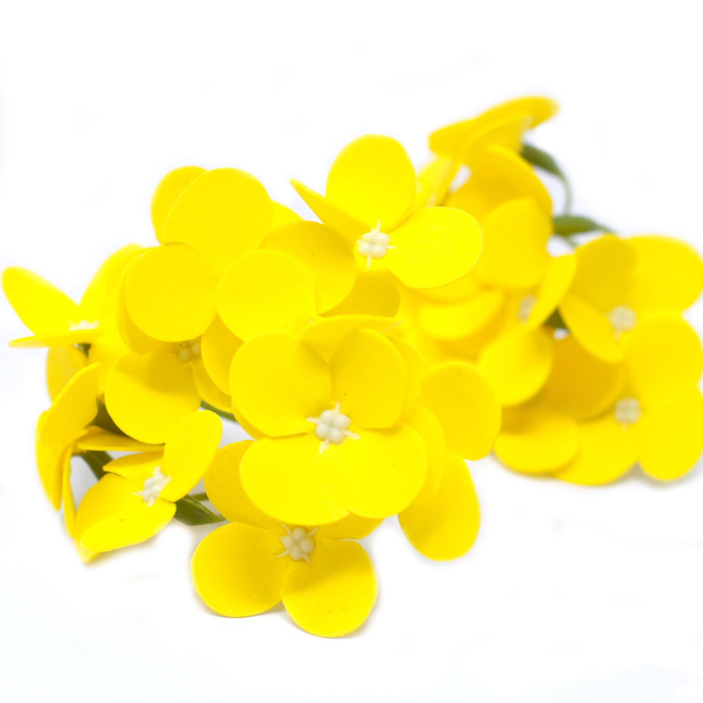 Fleurs de Jabón Manualidades - Jacinthe - jaune