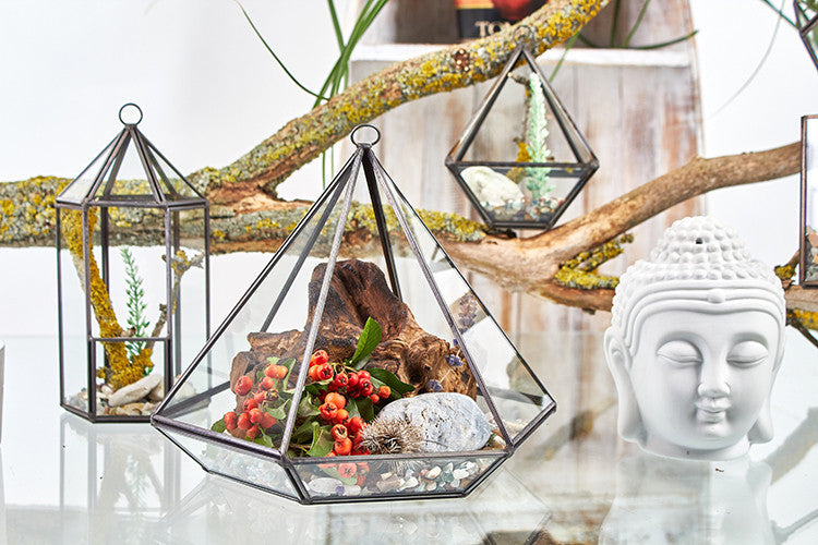 Glass Terrarium - Small diamond