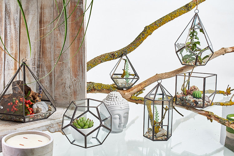 Terrarium en verre - Petit diamant