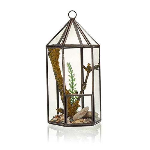 Glass Terrarium - Linterna