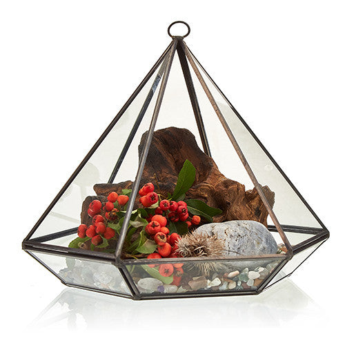 Terrarium en Verre - Gran Diamante