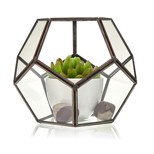 Terrarium en verre - Grand octogone