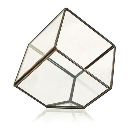 Terrarium en verre - Cube sur le coin