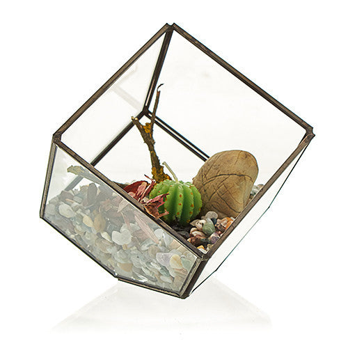 Glass Terrarium - Cube on the Corner