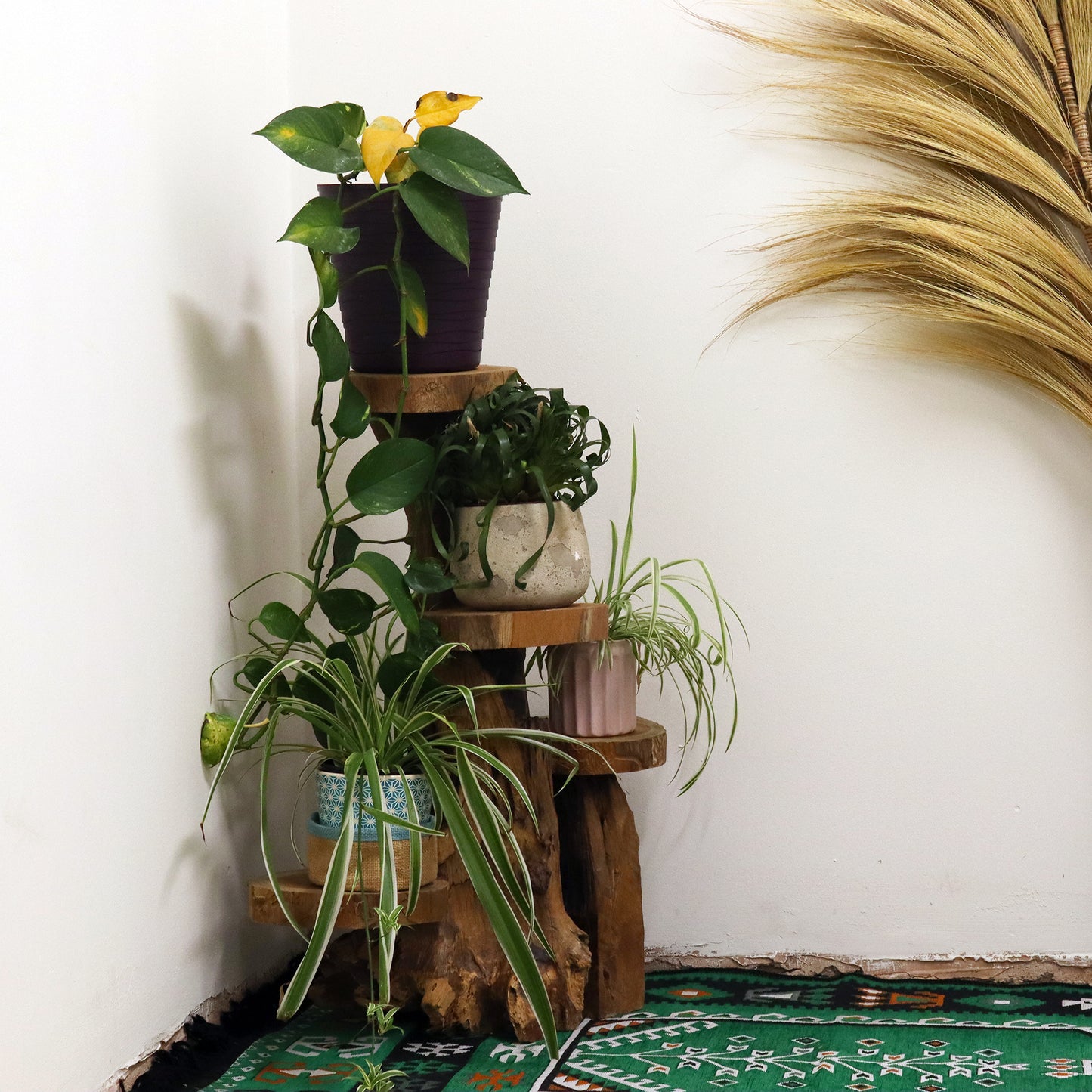 Natural teak 4 shelves 75cm high