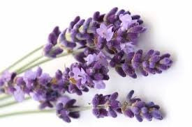 Lavender - Blue - Aromatherapy Bar 2Kg